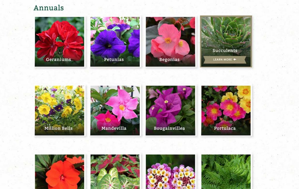 Screenshot of the Fairview Garden Center digital catalog