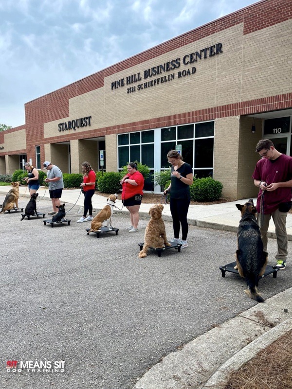 Apex dog training in front of building