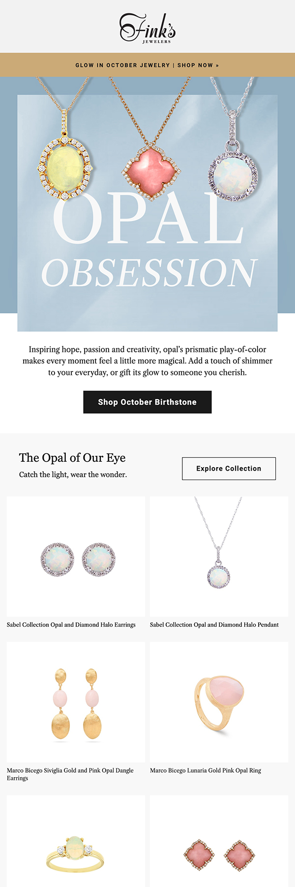 Finks Email Design example