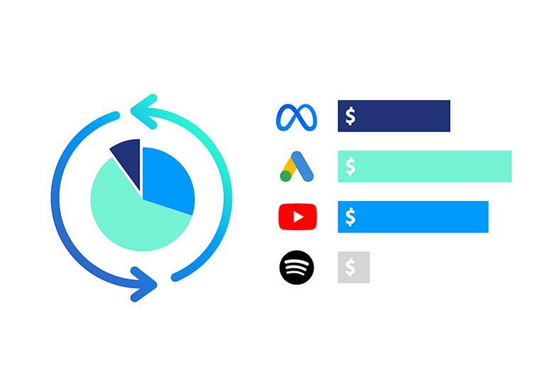 Social media platform budget allocation illustration
