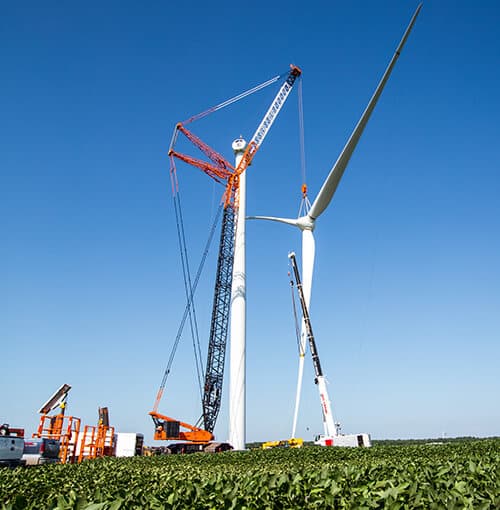 Crane photo