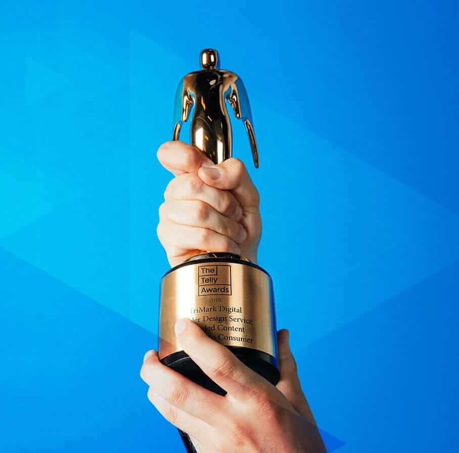 Image of hand holding up award