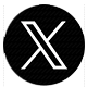 X Icon