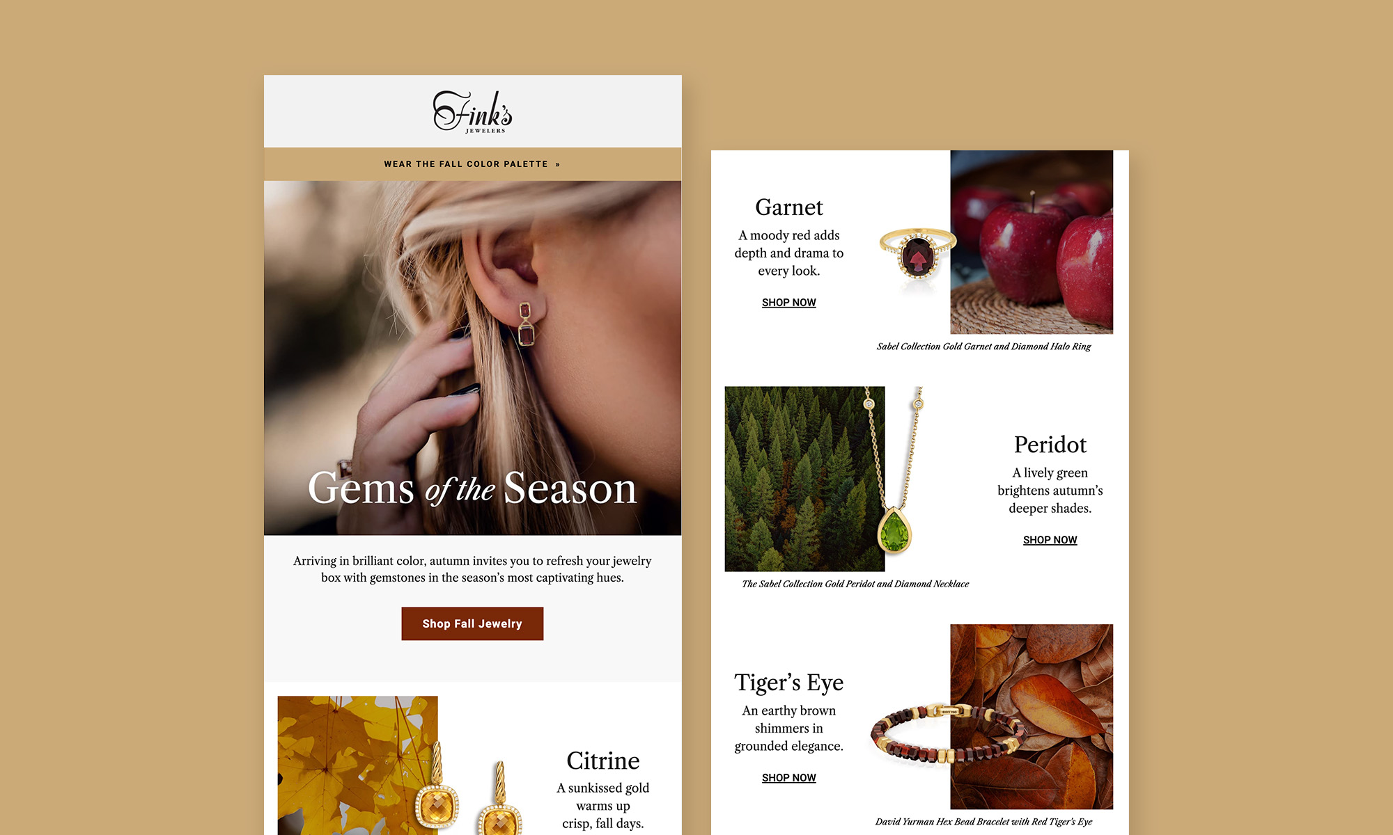 Email design for Finks