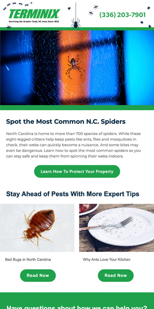 Terminix Email Preview: N.C Spiders Blog