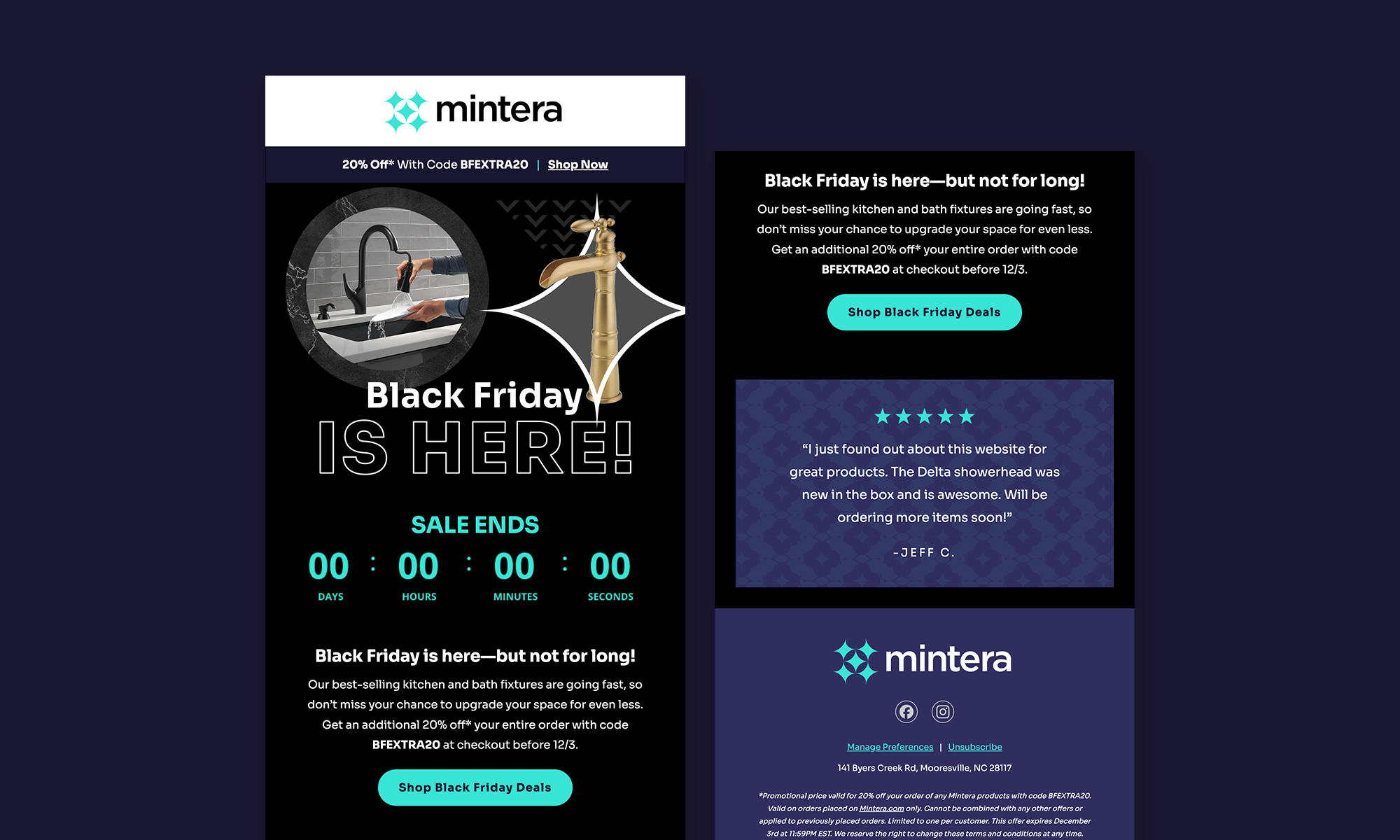 Mintera Email Example